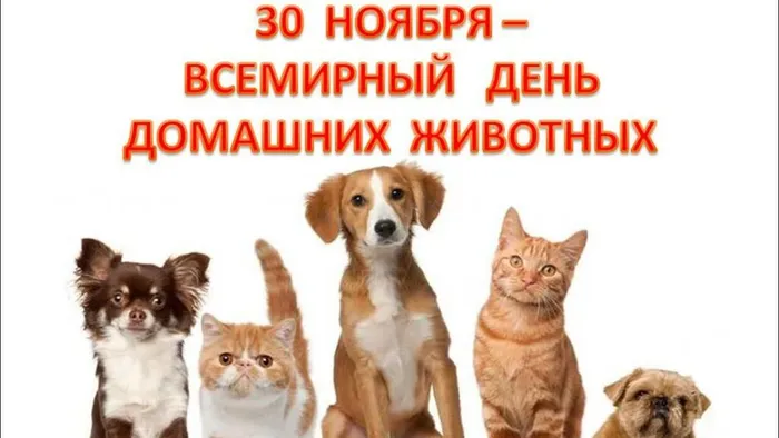 1693830122_gas-kvas-com-p-risunki-na-prazdnik-vsemirnii-den-domashni-16