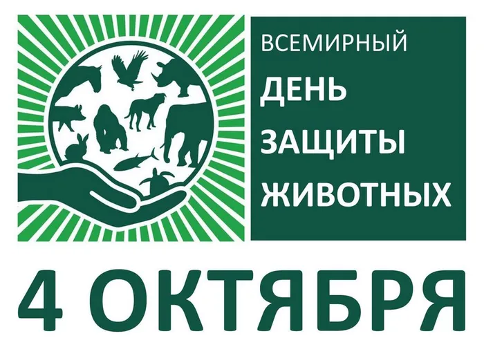 Д защ.жив-заст.-1