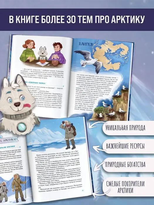 Арктика 1-019aaa9e-7c12-71b8-80ec-9823b230b860